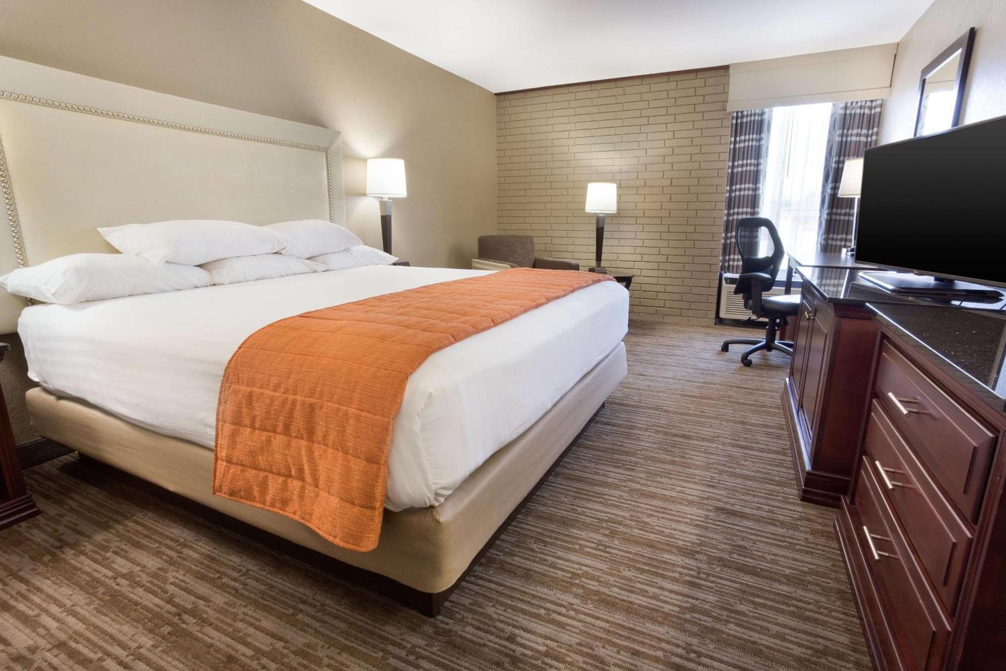 Superior King Room,1709575426:JPEG